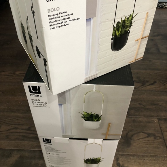 Umbra Bolo Wall or Hanging Planter - Picture 2 of 5